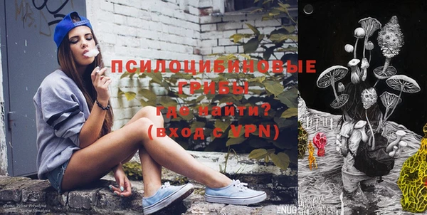 дмт Абаза