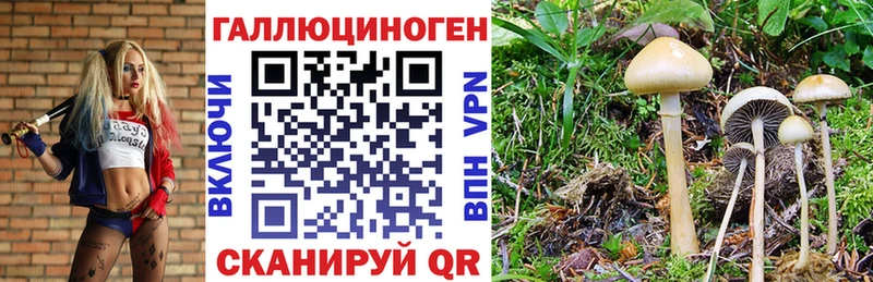 площадка телеграм  Братск  Галлюциногенные грибы мицелий 